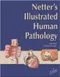(舊版特價-恕不退換)Netters Illustrated Human Pathology